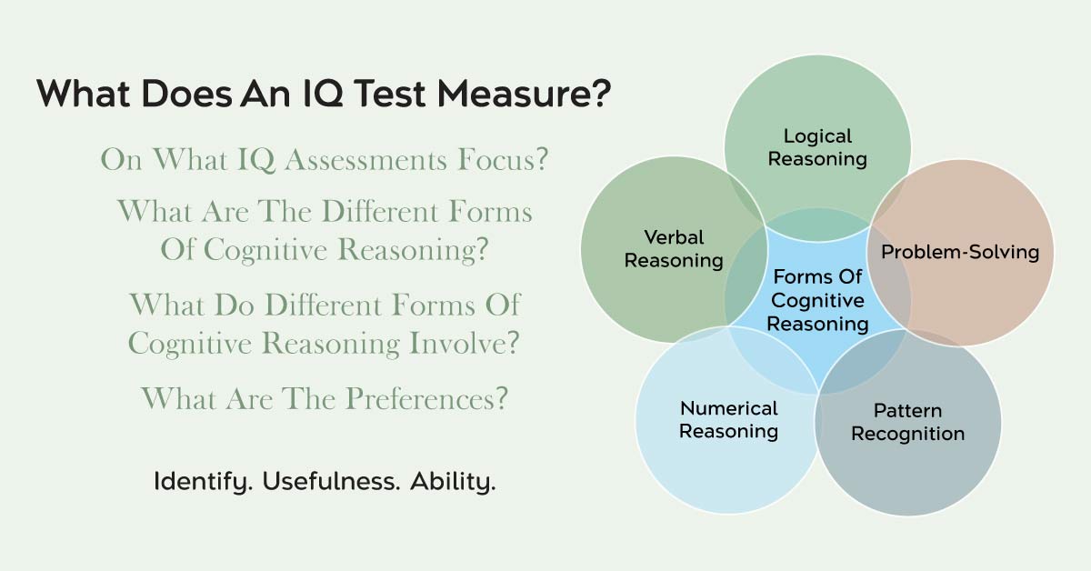 What does an IQ test measure ?